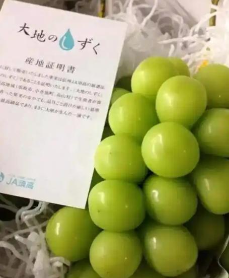 日本为什么不敢再让其他水果进入中国？别觉得只是贸易争端。日本不肯放水果进中国，是