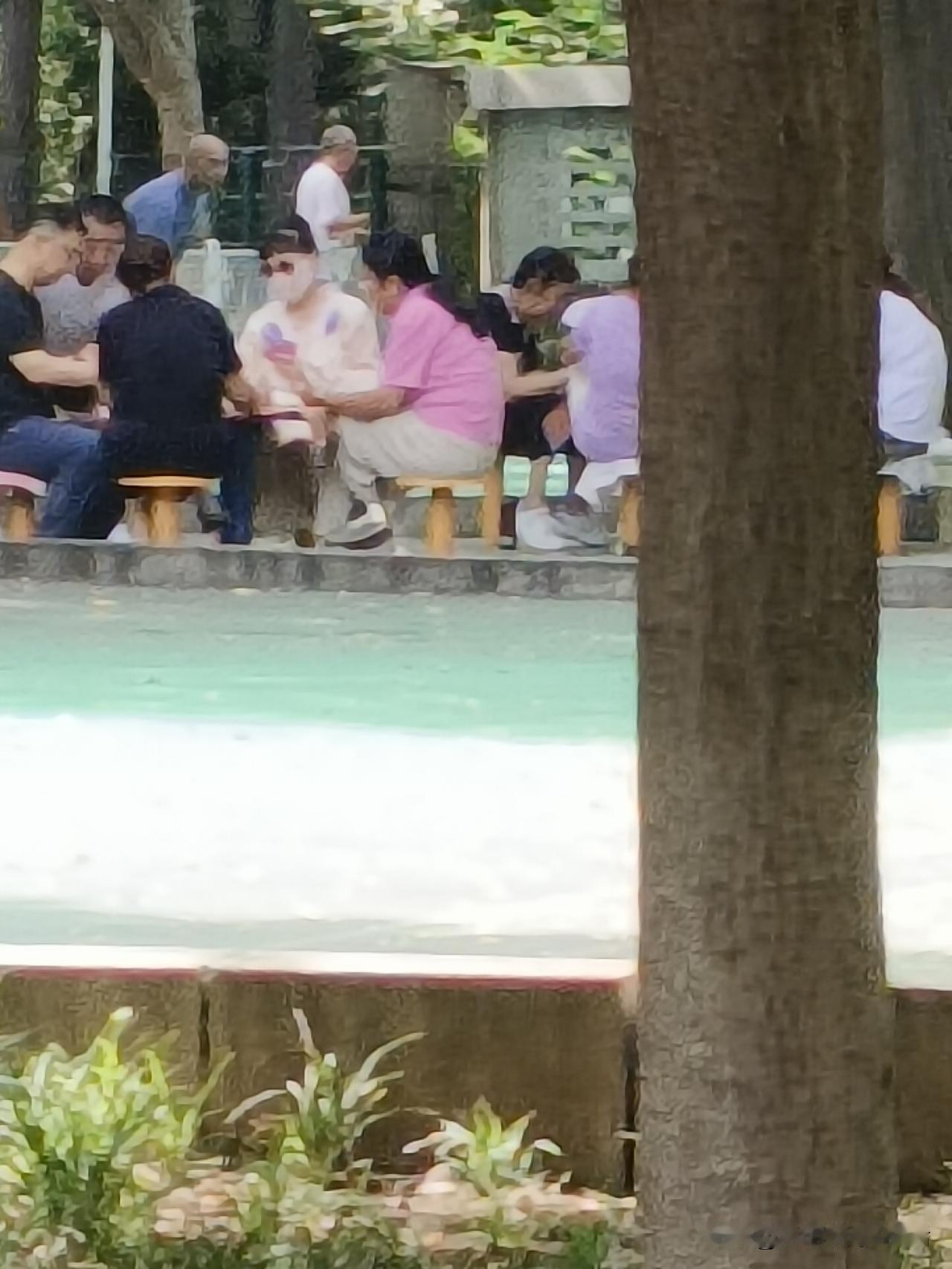 在绿意盎然的公园里，与朋友相聚，享受美好下午。🌳👫💕公园治愈系美景