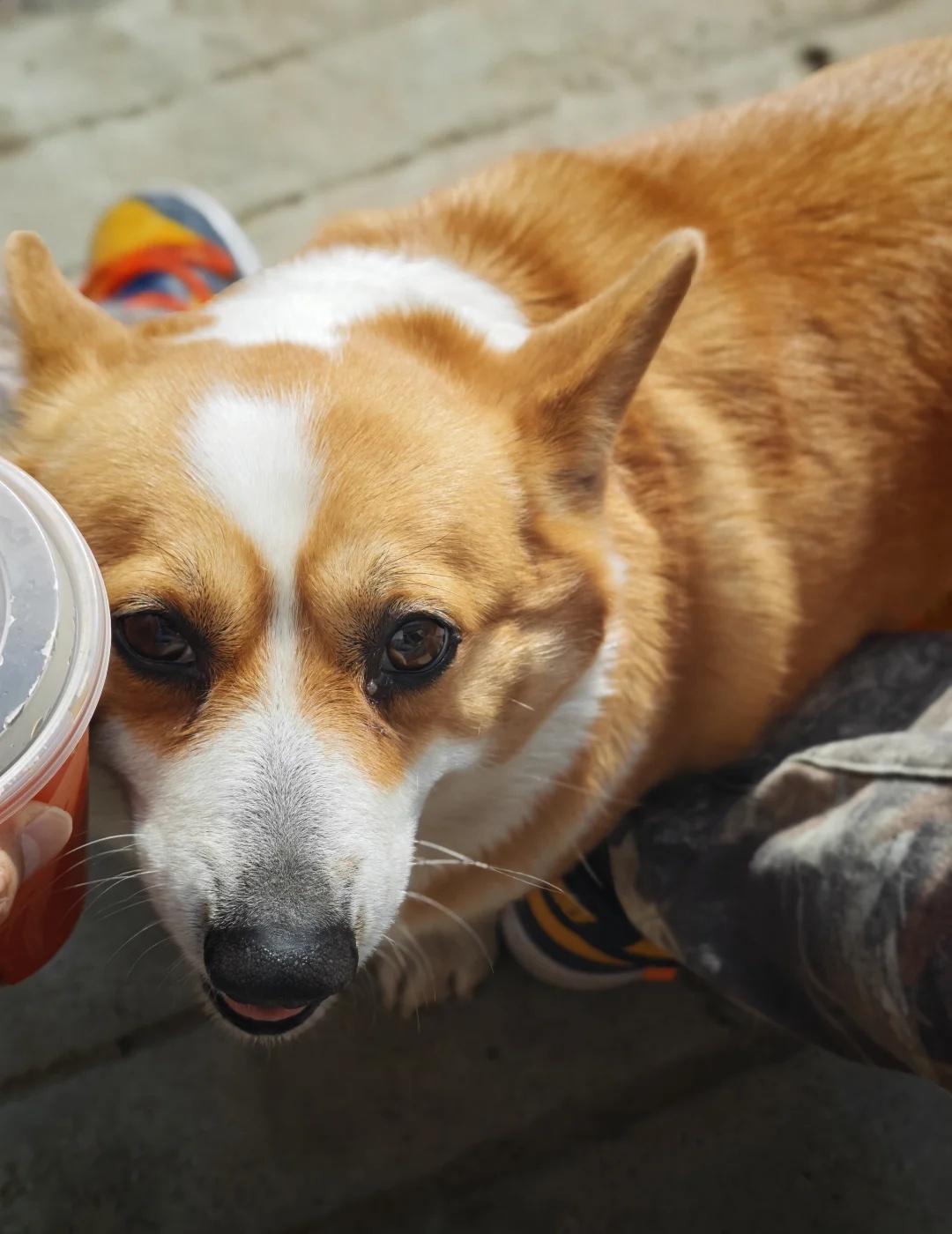 慢下来了
停下来歇一歇 生活慢下来 慢悠悠的日子 每次停留都是享受 慢悠悠的一天