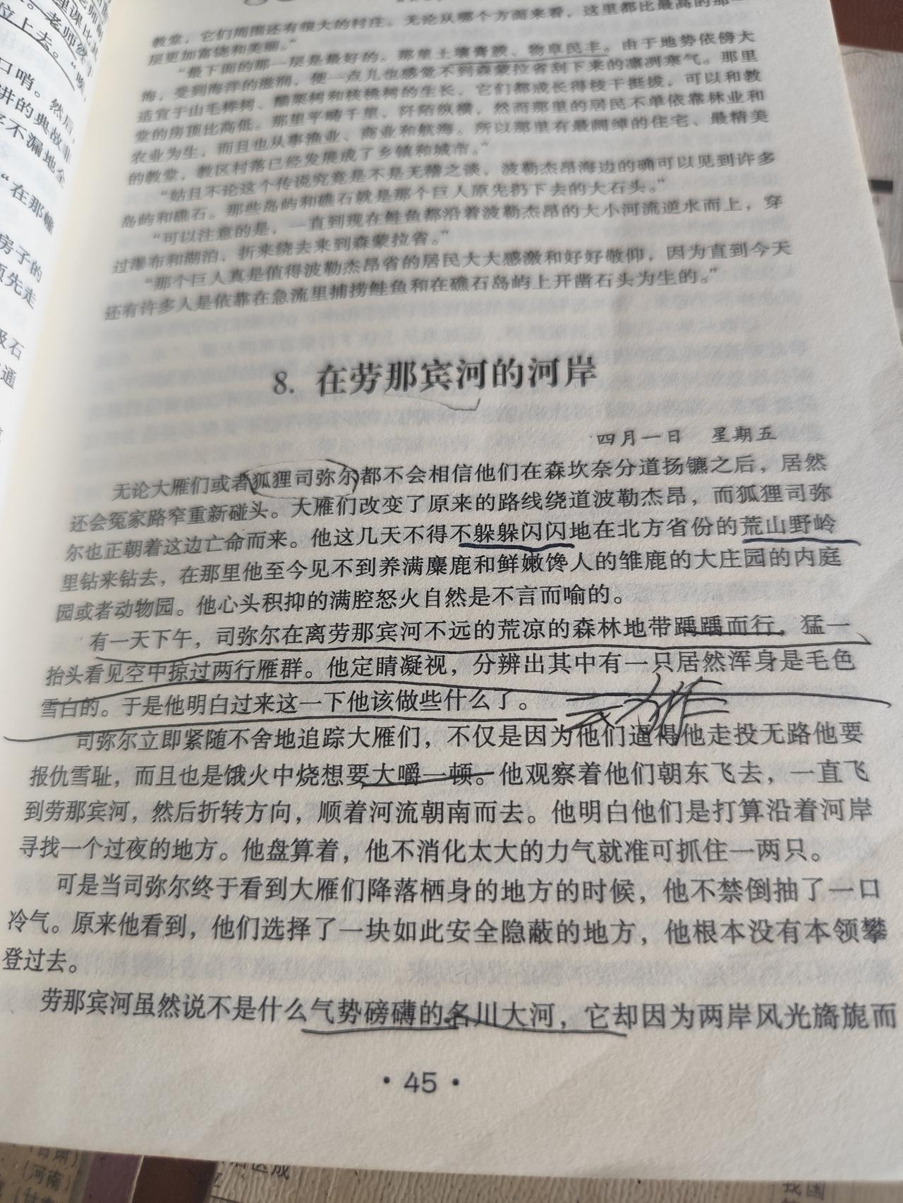 对当今社会的现实思考
 
重读《尼尔斯骑鹅历险记》里的七种地域发展模式，放在今天