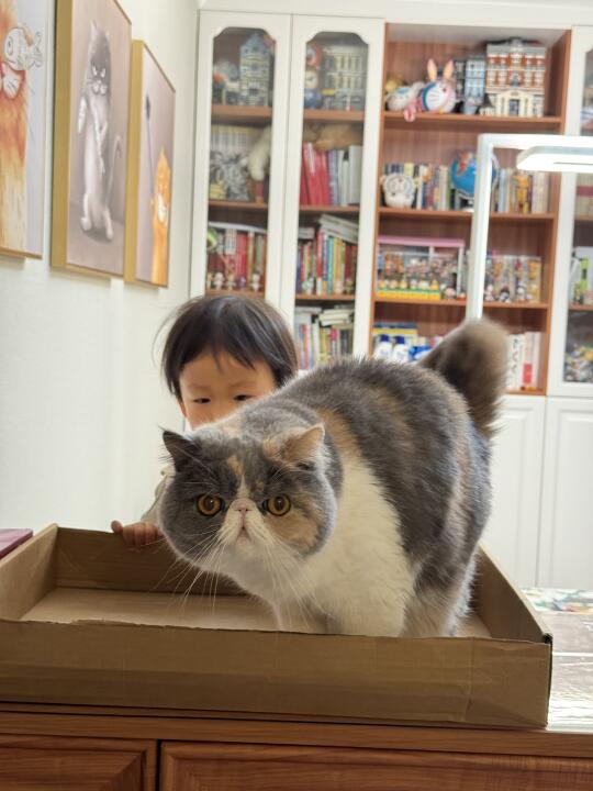 “能送她去幼儿园吗”