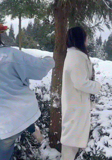 网友:说好的拍个视频做做样子的，但是你这一脚多少也带点私人恩怨啊！