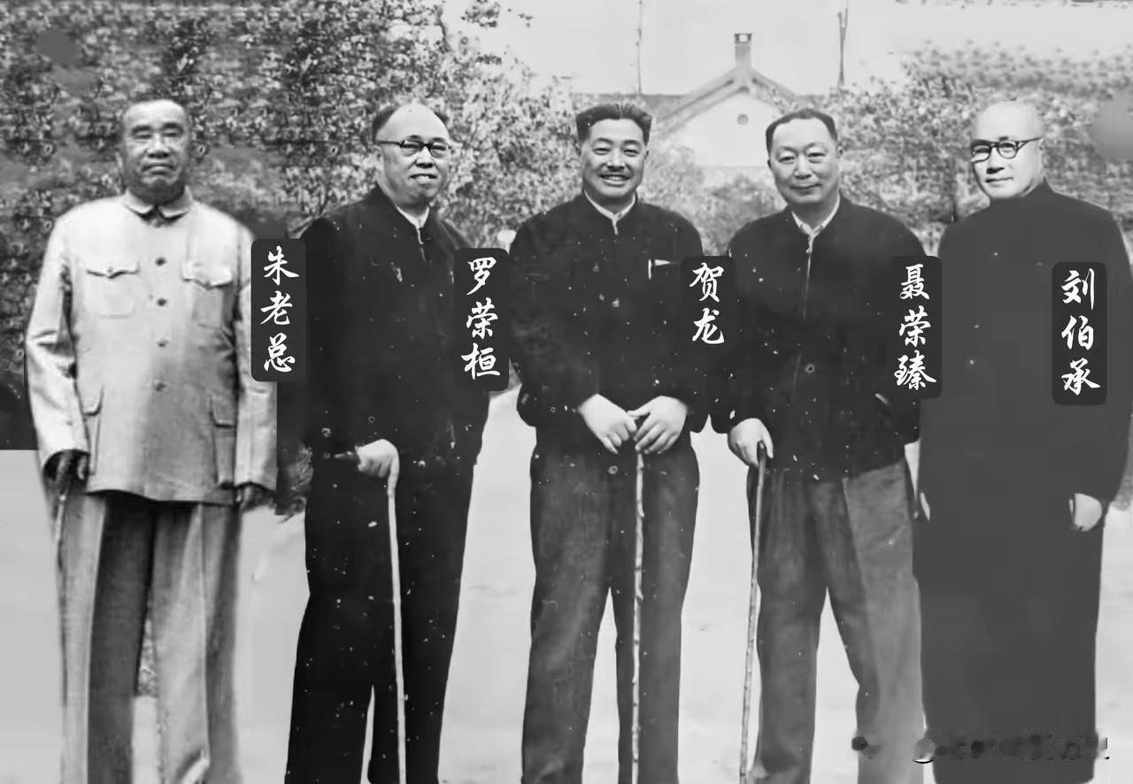 这张珍贵合影定格了朱老总、罗荣桓元帅、贺老总、聂荣臻元帅、刘伯承元帅五位开国元勋
