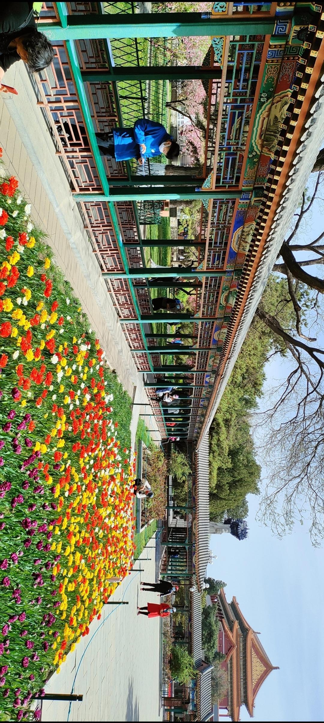 春日赏花游，花海人潮中，尽享美好时光！🌸🌸🌸