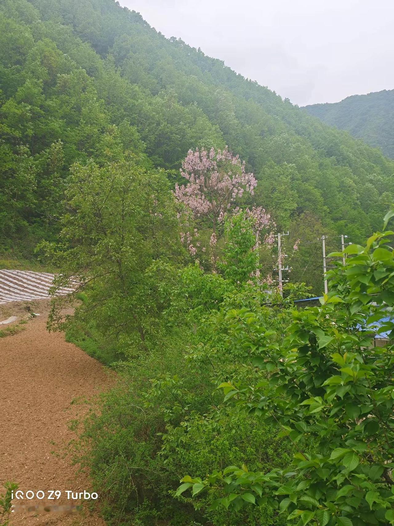 老友水磨沟后村的老宅
