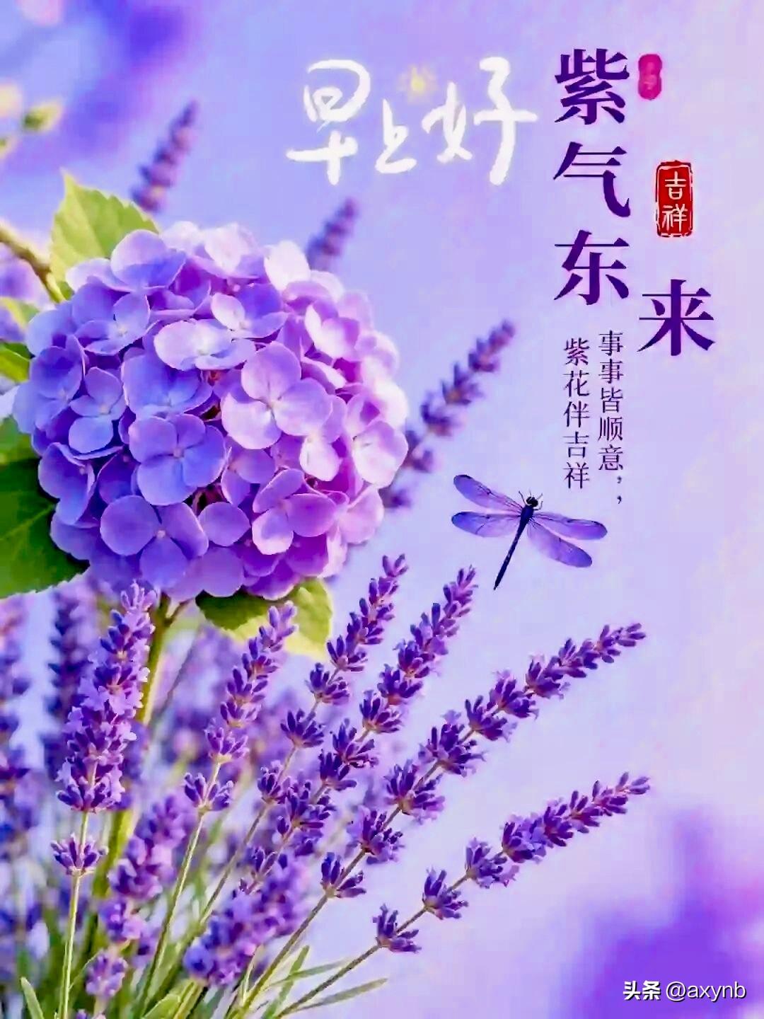 清晨一句早安，藏着满心惦念。寻常岁月，因相逢而暖意常在。

相隔万里，牵挂从不疏