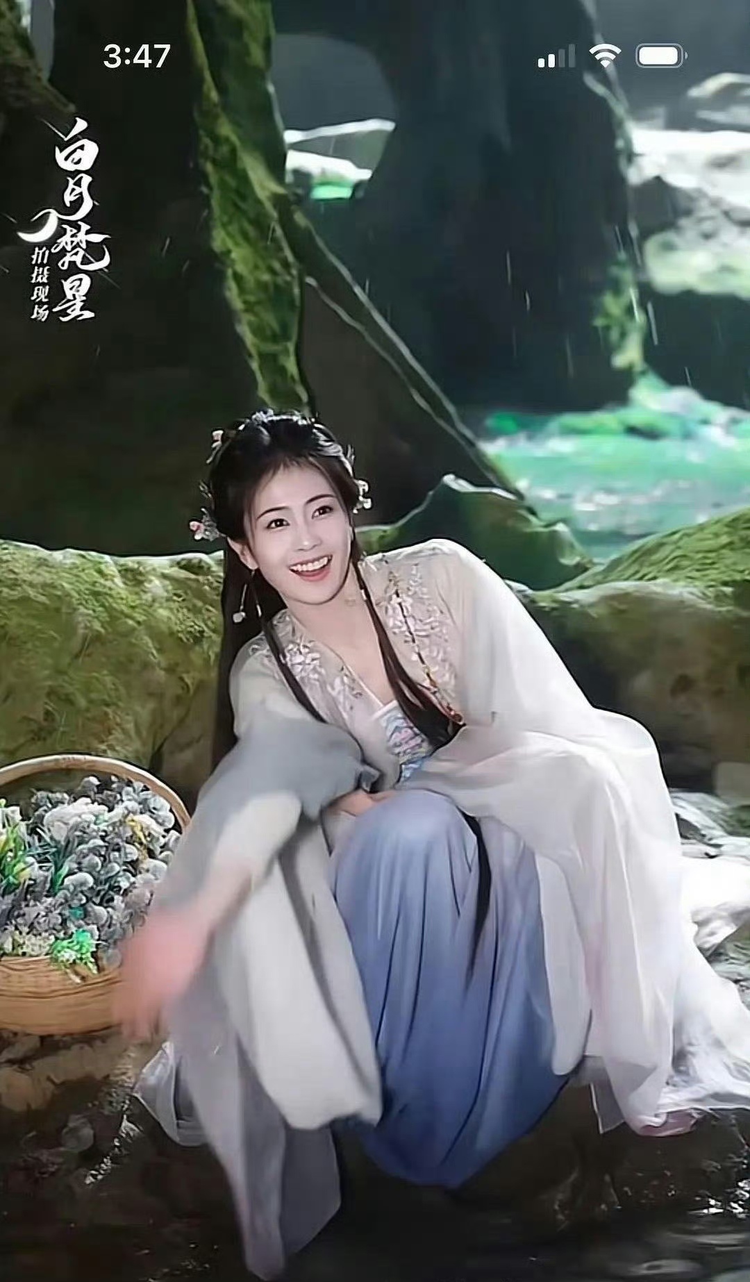 白鹿给人一种硬装甜妹的感觉[黑线] ​​​