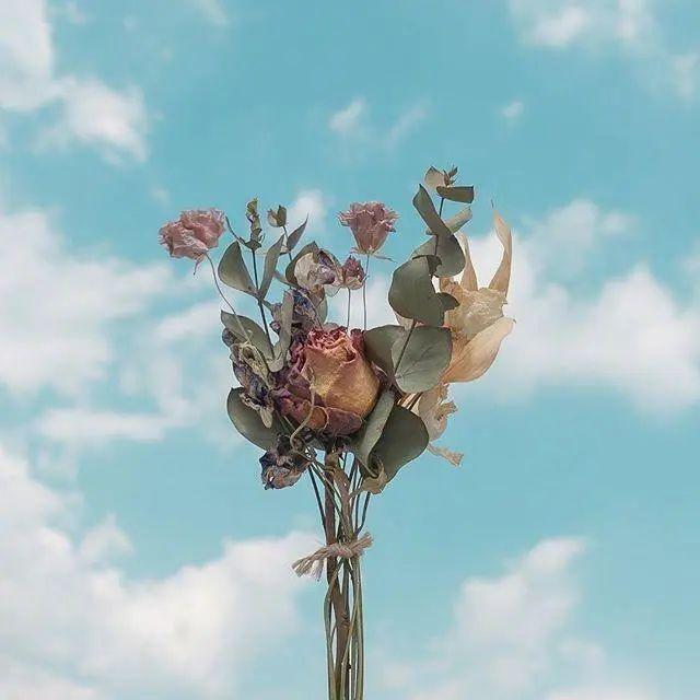 很多时候，因为自己看不顺眼，就会按捺不住自己那颗试图改变别人的心，去说教，去劝阻