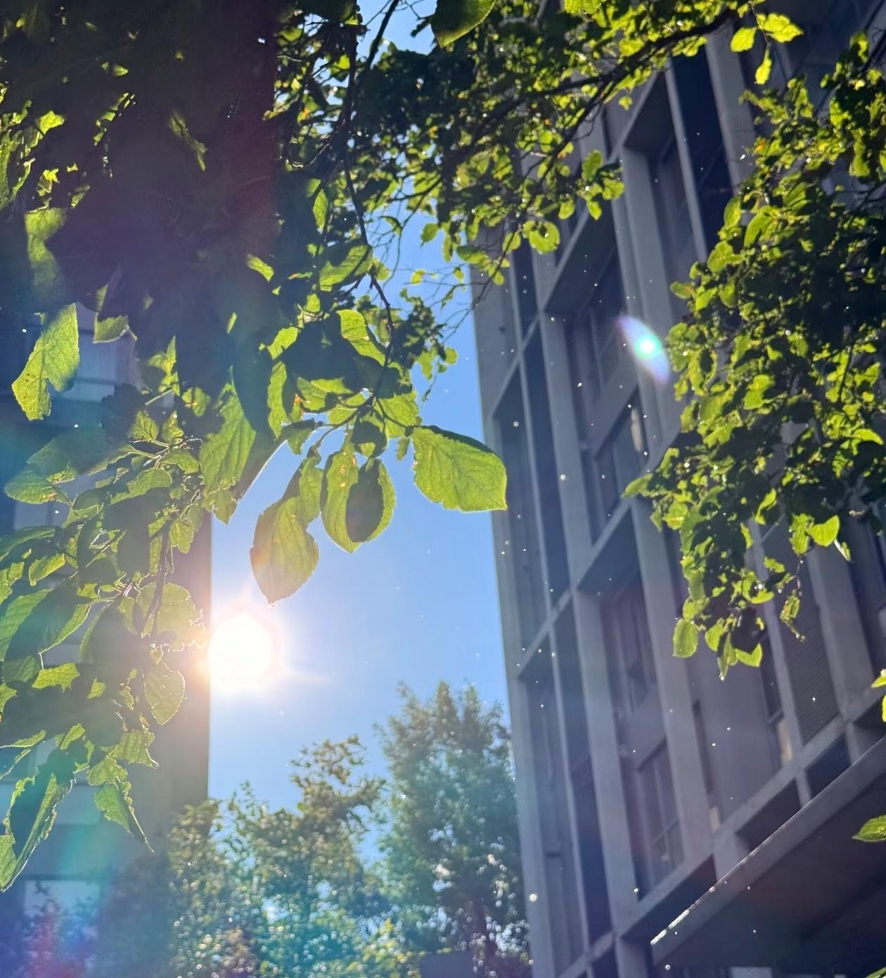 提醒各位朋友，再过12天也就是8月14日我们就正式进入末伏了。  
很多人对于末