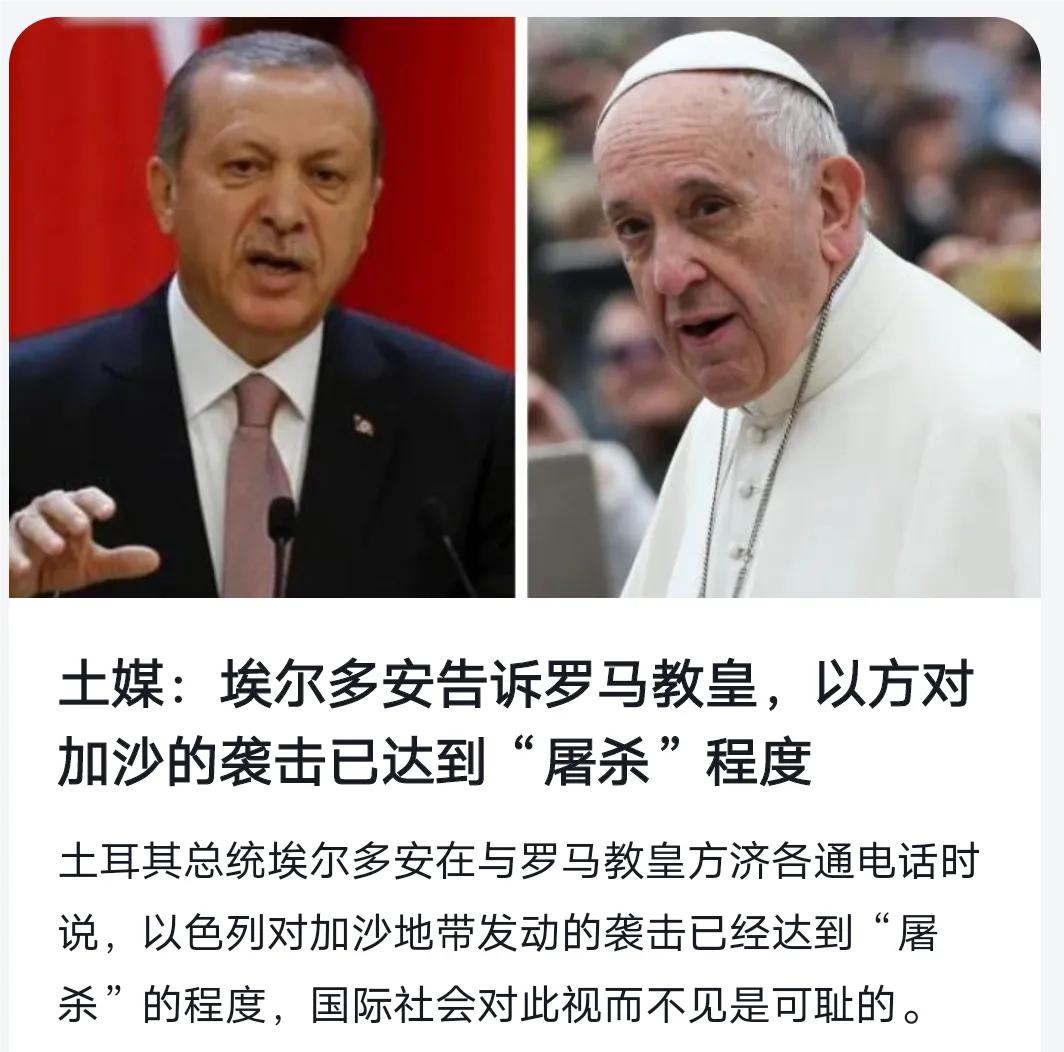 教皇想为以色列说话？埃尔多安不答应！
土耳其总统埃尔多安明确告知教皇，以色列对加