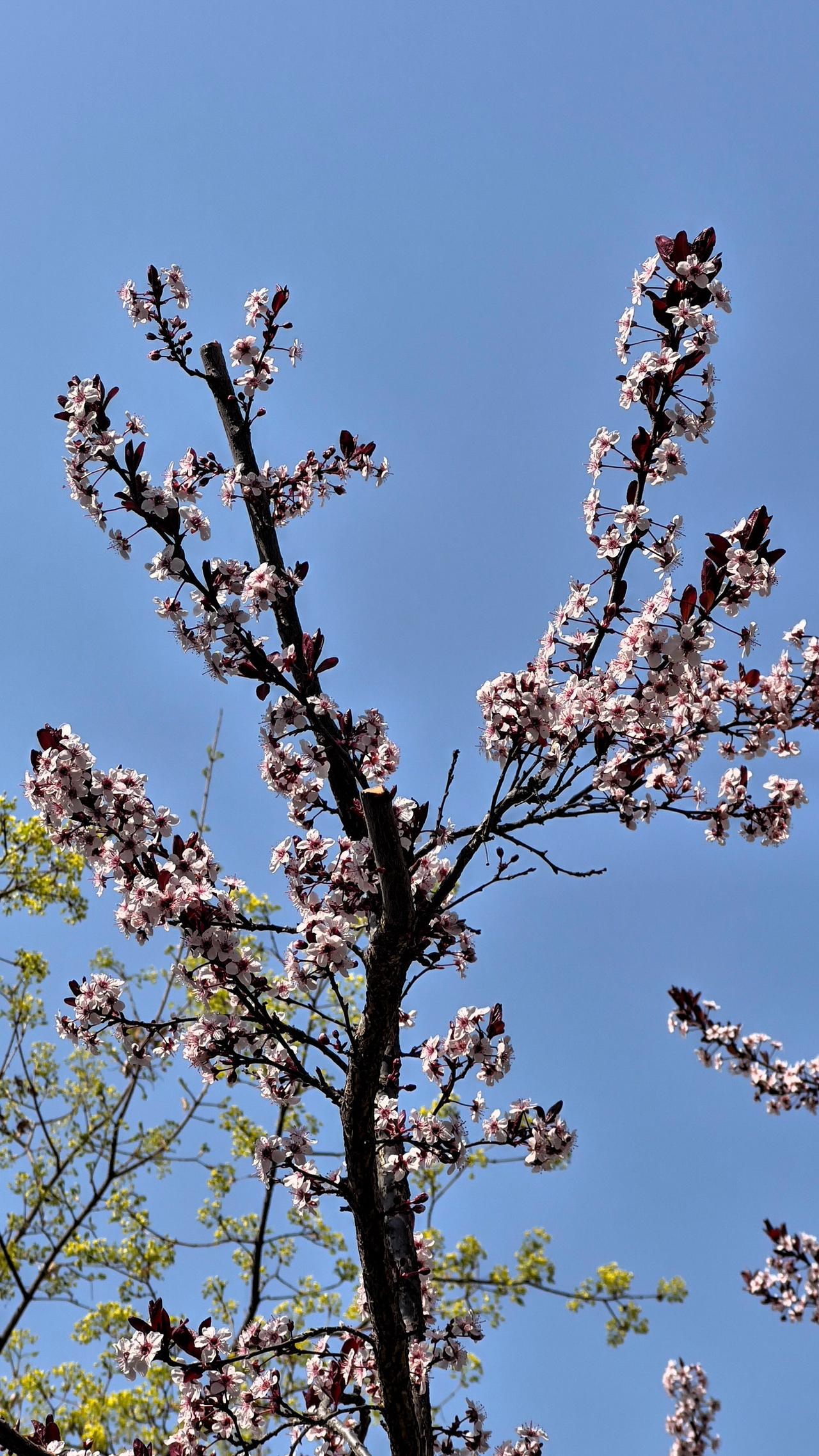希望小叔子明白，心里先看透，不搞内耗和精神损失，活好自己和家人就可以，别人的事和