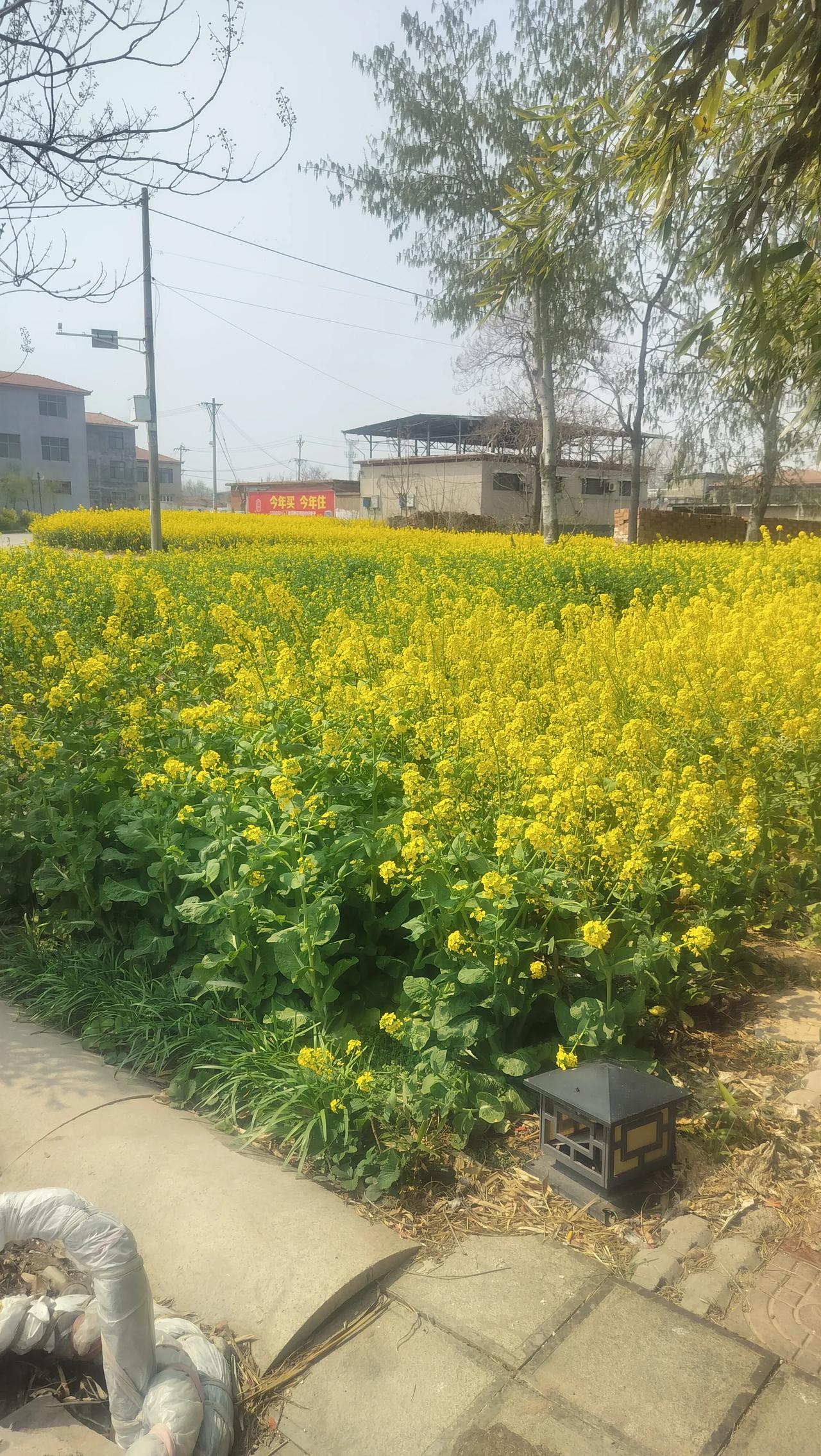 现在老年大学越来越火，其实是件大好事。老人们不用天天围着家务、孙子转，能去学画画