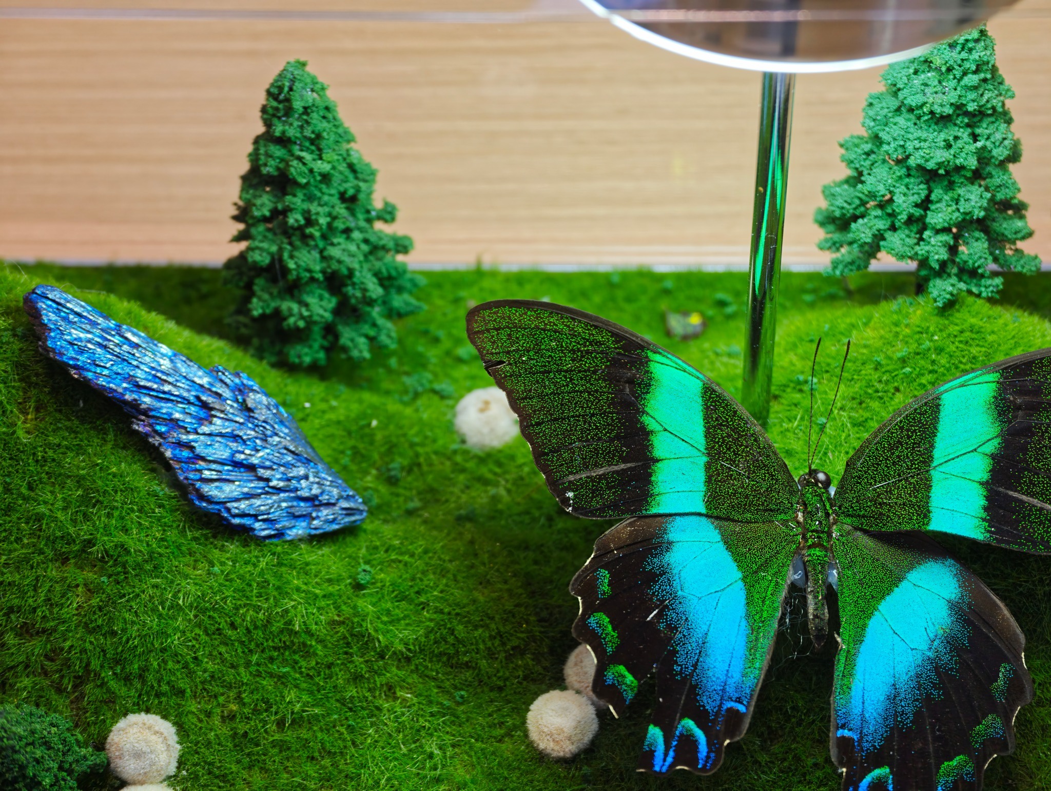 店里已经有vivo X300 Ultra真机了，小伙伴刚摸了把，据说微博适配了v