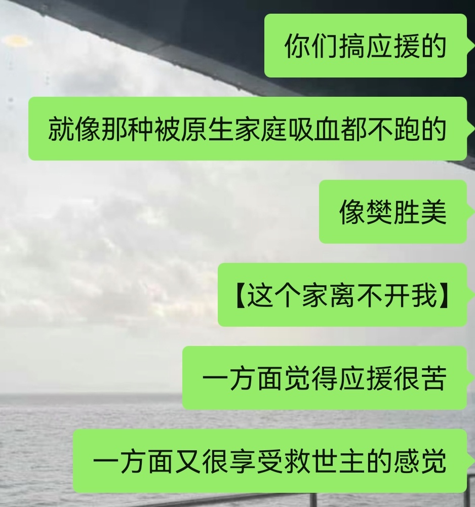 本人锐评所有搞应援的人 