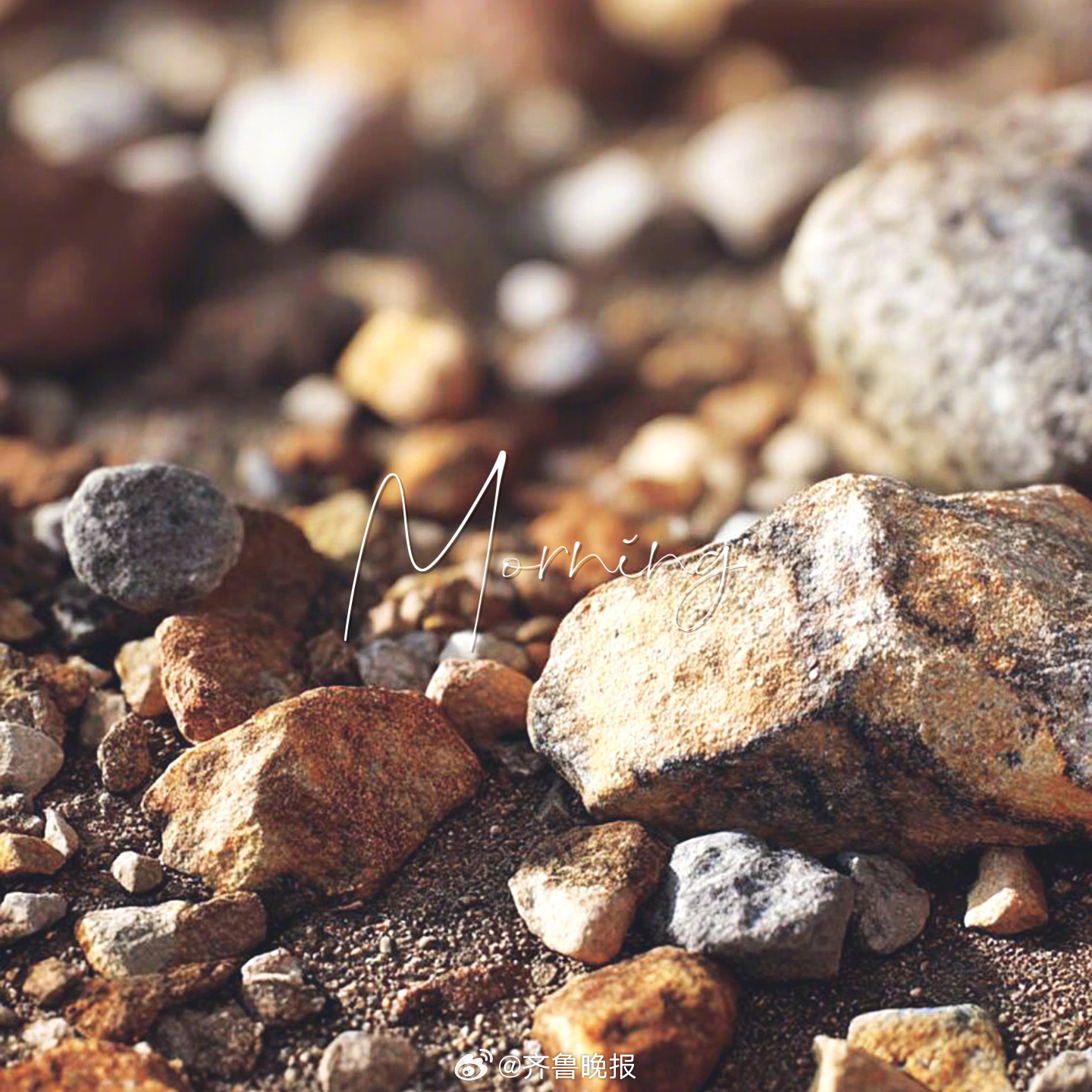 做一块有自己纹理的石头#早安#