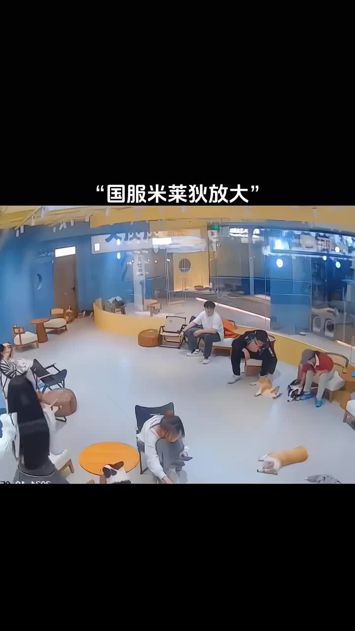 “米莱狄开大了”（博主：功夫柯基）