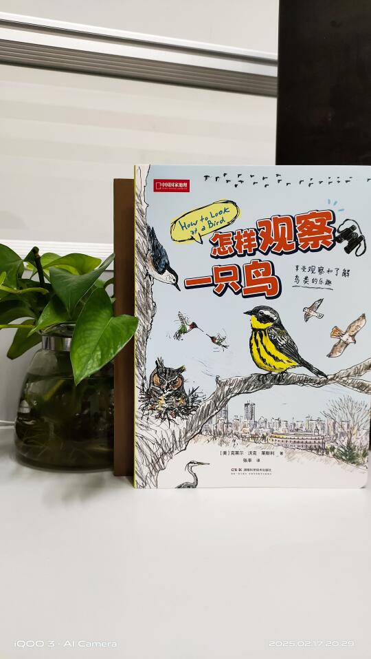 绝顶聪明的鸟类