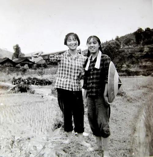 1977年，女知青白梅要去参加高考。谁知，却被丈夫灌了安眠药，白梅醒来后哭喊着说