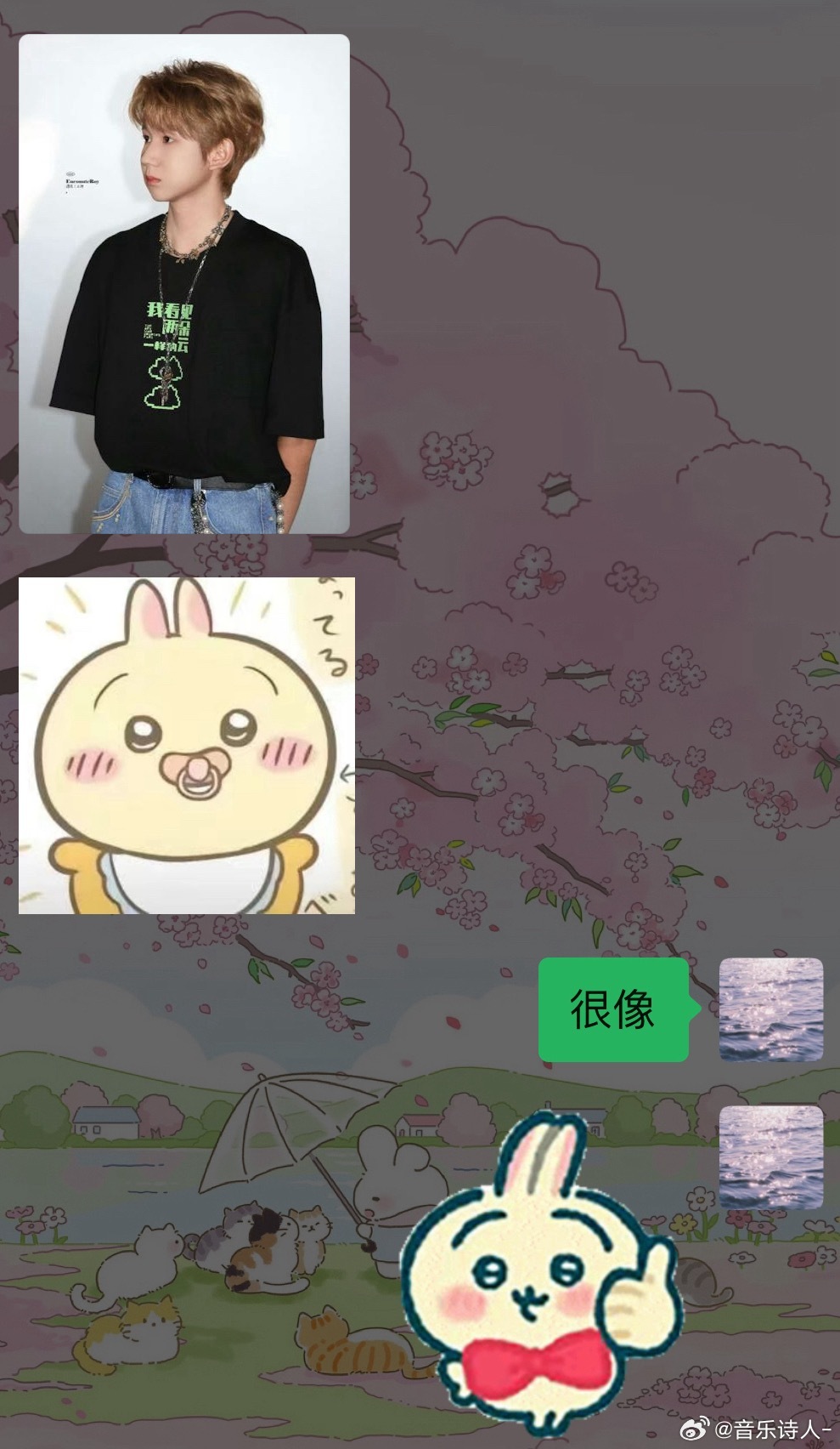暂时找不到王源不是537的证据！ 