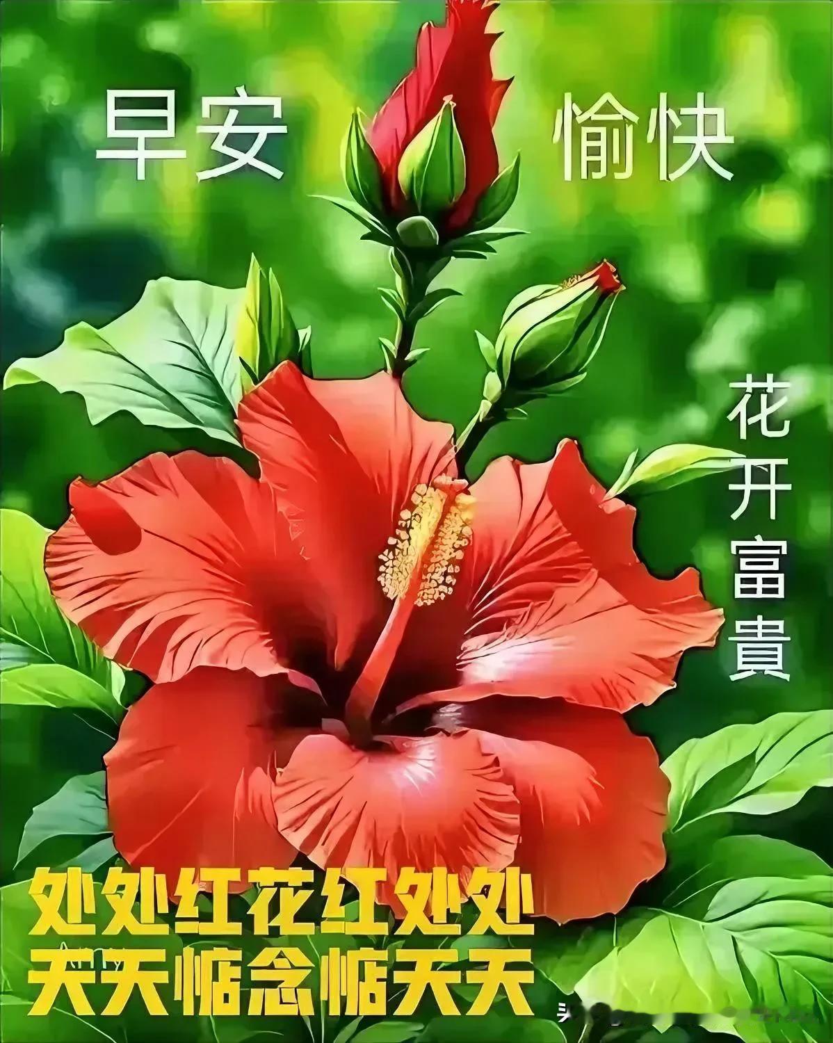 联1：[玫瑰][玫瑰][玫瑰]
处处红花红处处
时时顺遂顺时时

联2：[玫瑰]