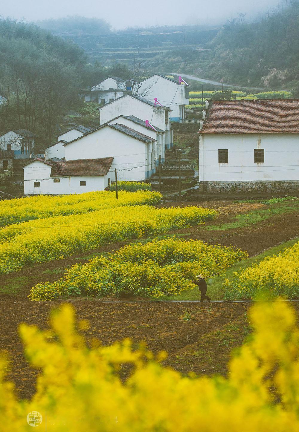 热闹的背后是什么呢？

年味变淡，没有小时候的味道，大家怀念春节过年的烟火气，呼