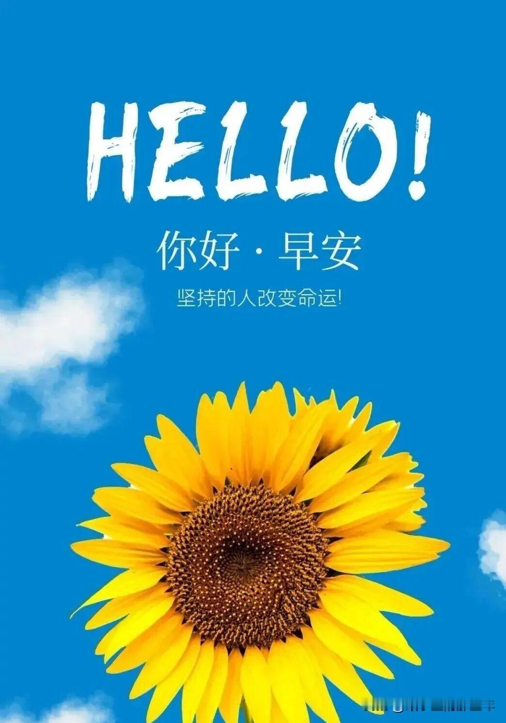 每一个伟大的成就，都源自于一次勇敢的选择，勇于迈出第一步，人生的旅程才会有无限可