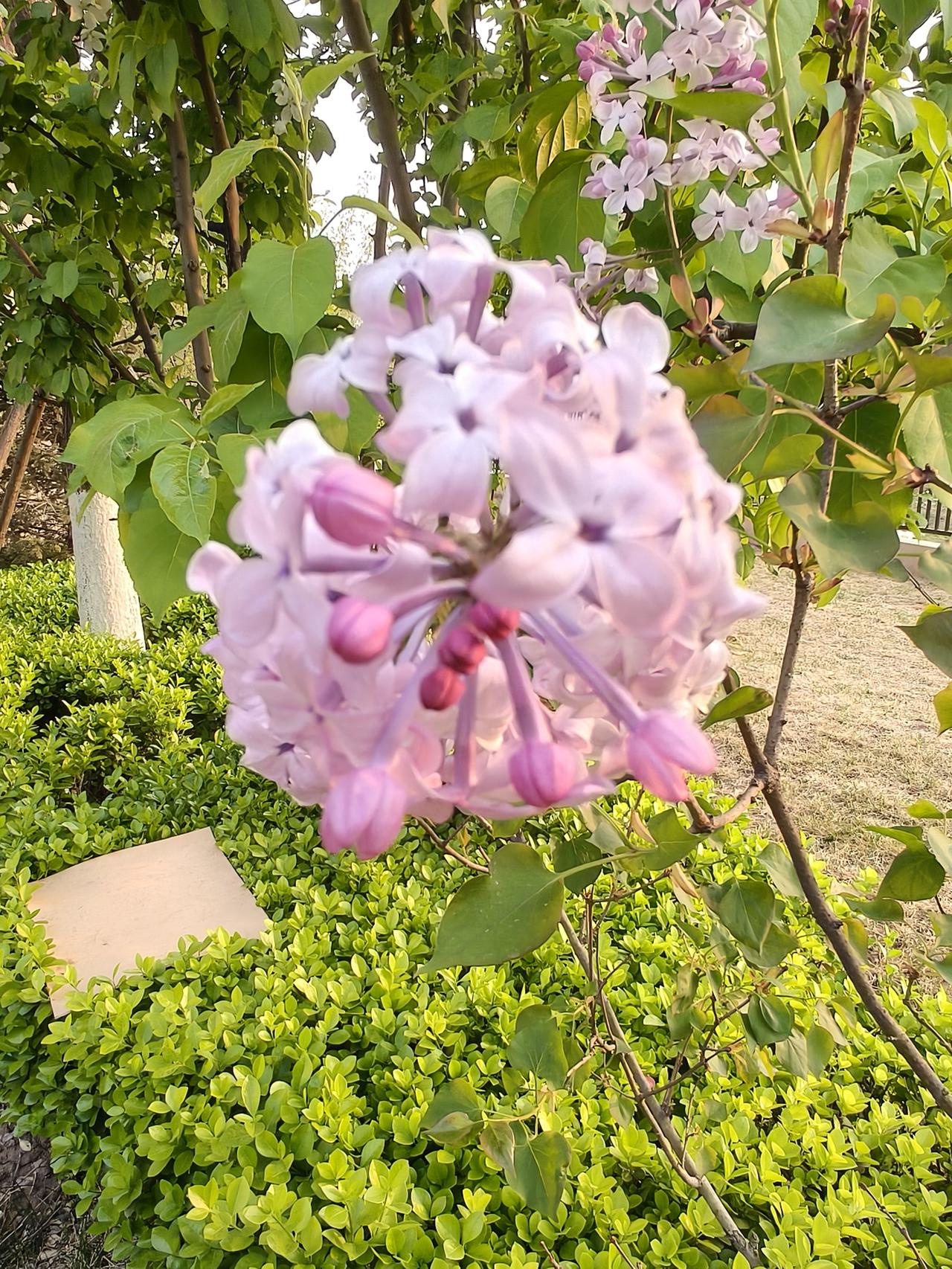 你认为属于你的幸福是什么工作安安稳稳，身体健健康康，心情开开心心，家人平平安安。