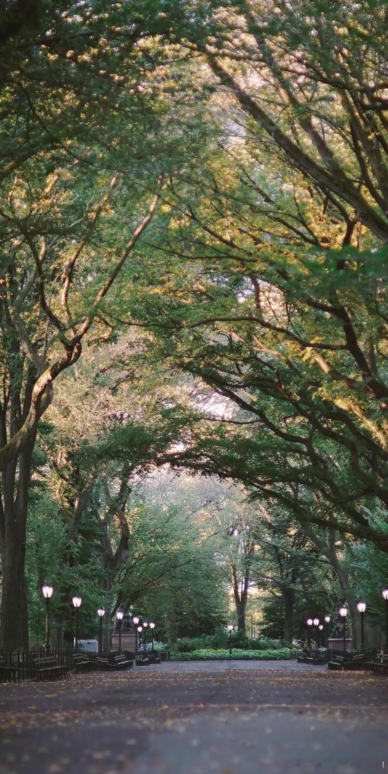 人的命运天注定，你同意吗？         说实话，我不同意。以前我也信命。觉得