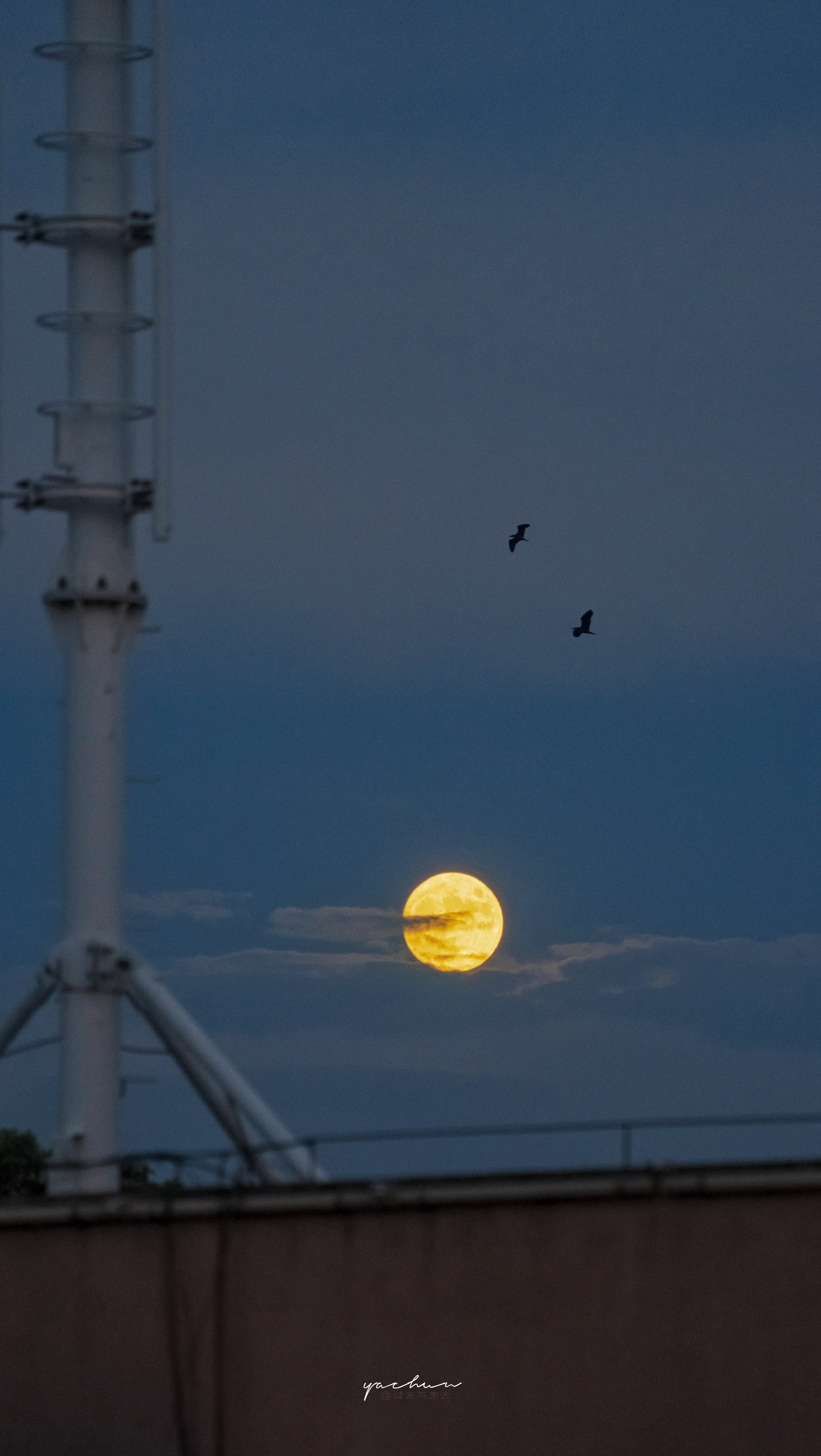 无论是什么关系，提供不了情绪价值，给予不了经济支持，给不了正面陪伴，三点不占一样