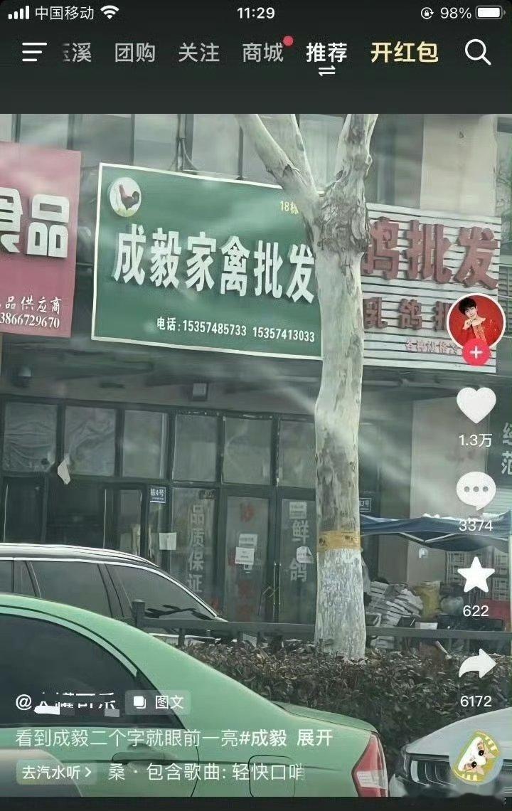 这店铺一看就很权威 