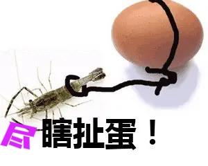 网上对“内裤姐”的恶行义愤填膺，严厉谴责。现在问一个刁钻问题：在同样情景氛围下，