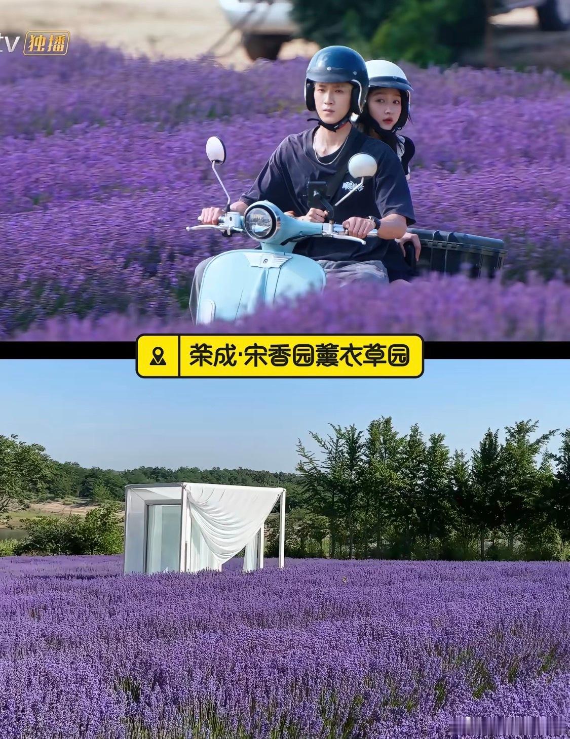 耀眼在威海的取景地也太美了跟着热播剧打卡威海 电视剧《耀眼》的取景地威海，简直藏