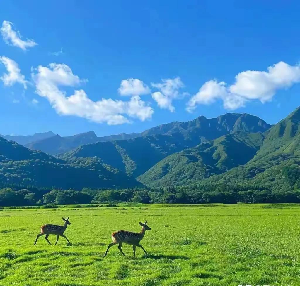 福彩3D267期试机号后预测
直组:615/256/518/069
      