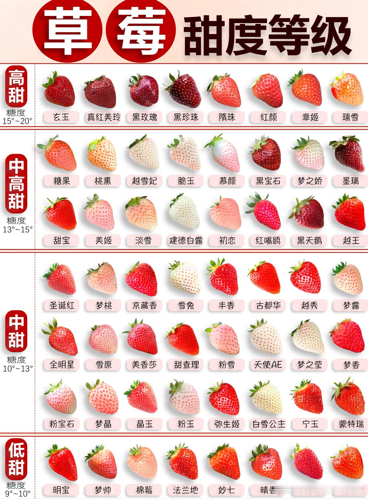 草莓甜度等级🈶快来学着挑草莓啦~ 