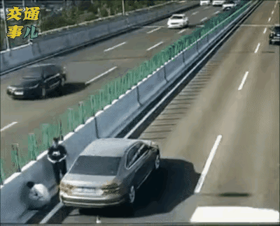 无知者无畏，害人害己哟。
开车的司机师傅们说说，他们有哪些违法行为。