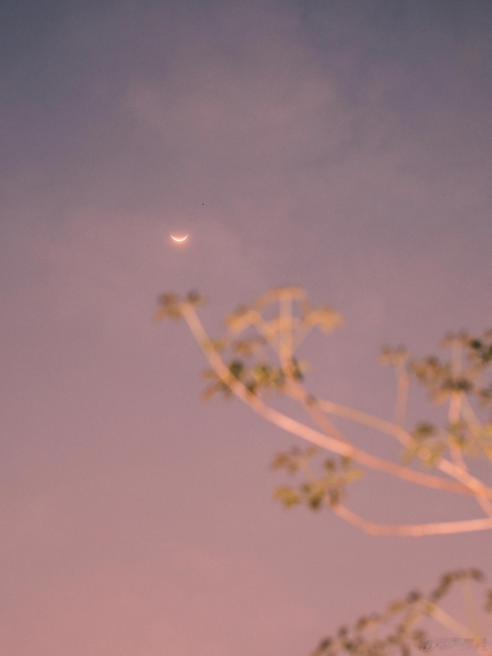 我们应该从喜欢里得到力量和欢乐。而不是花光所有的力量和欢乐去喜欢。情感语录100