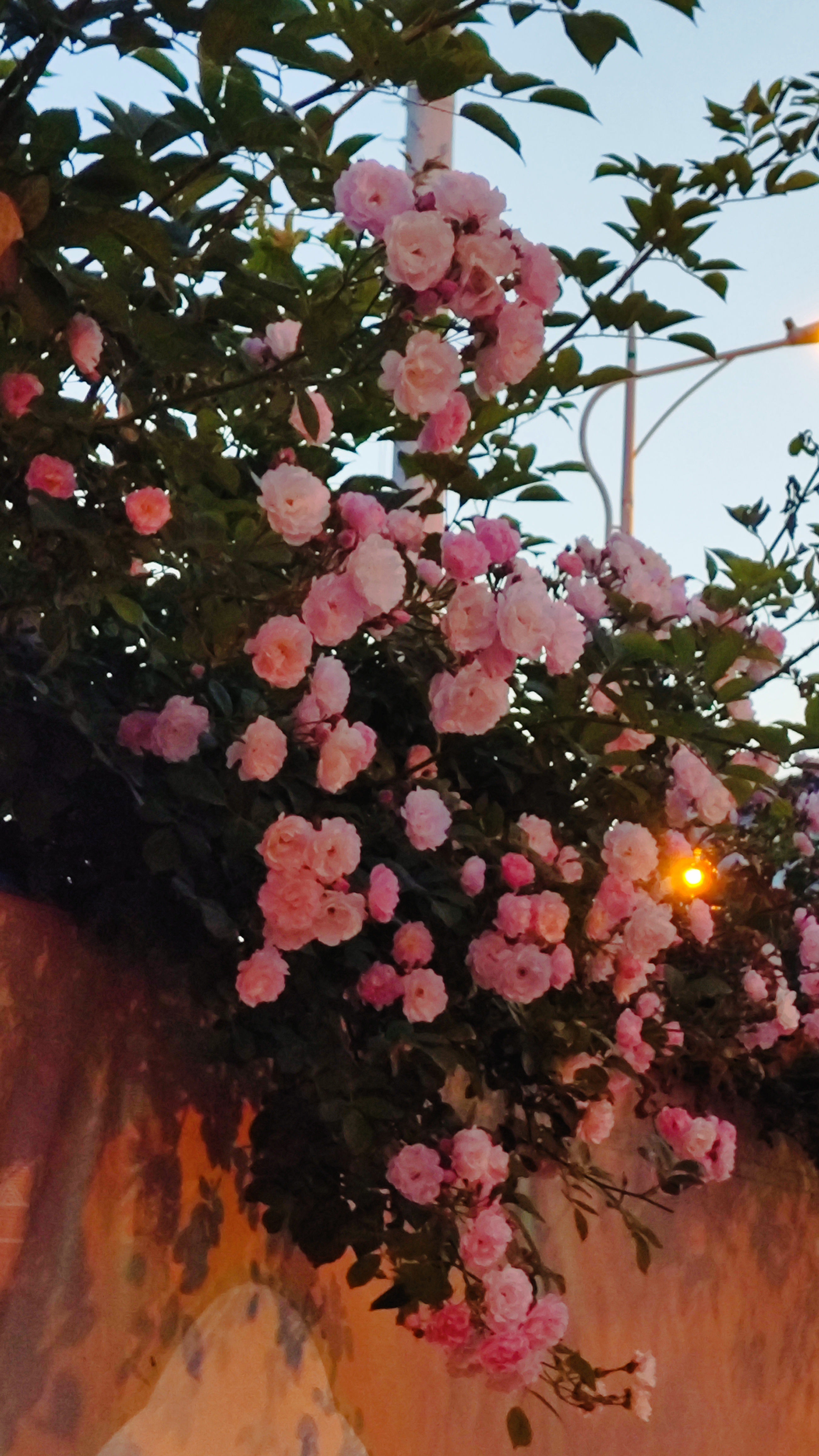 连续两周上四休三今天给家里小朋友看五一假期的时候，看到周五就可以放假了妥妥的上四