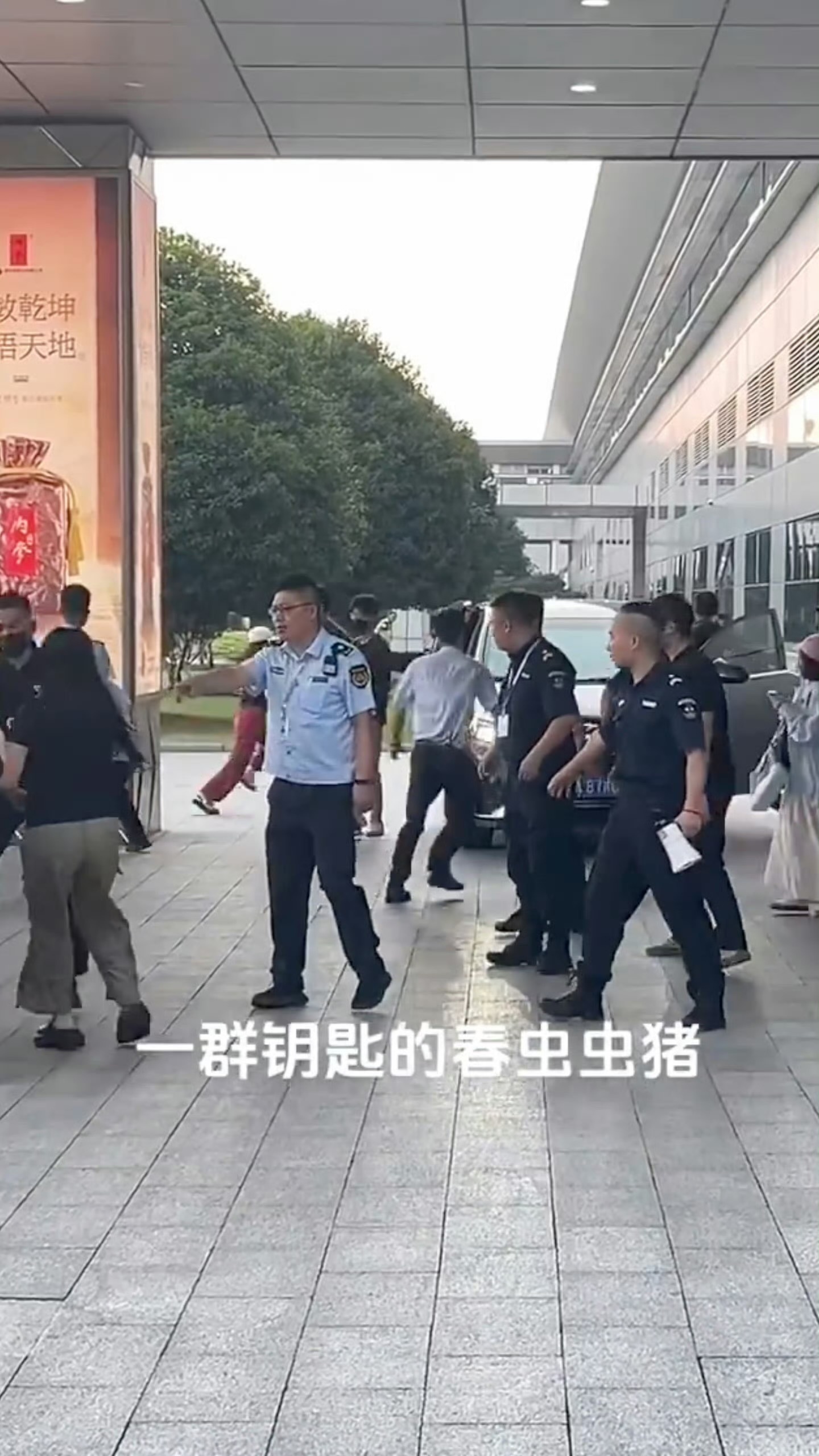 “窝窝囊囊”收藏“一头大蠢猪”小发雷霆内涵私生一周年纪念 