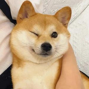 小刚聊趣事