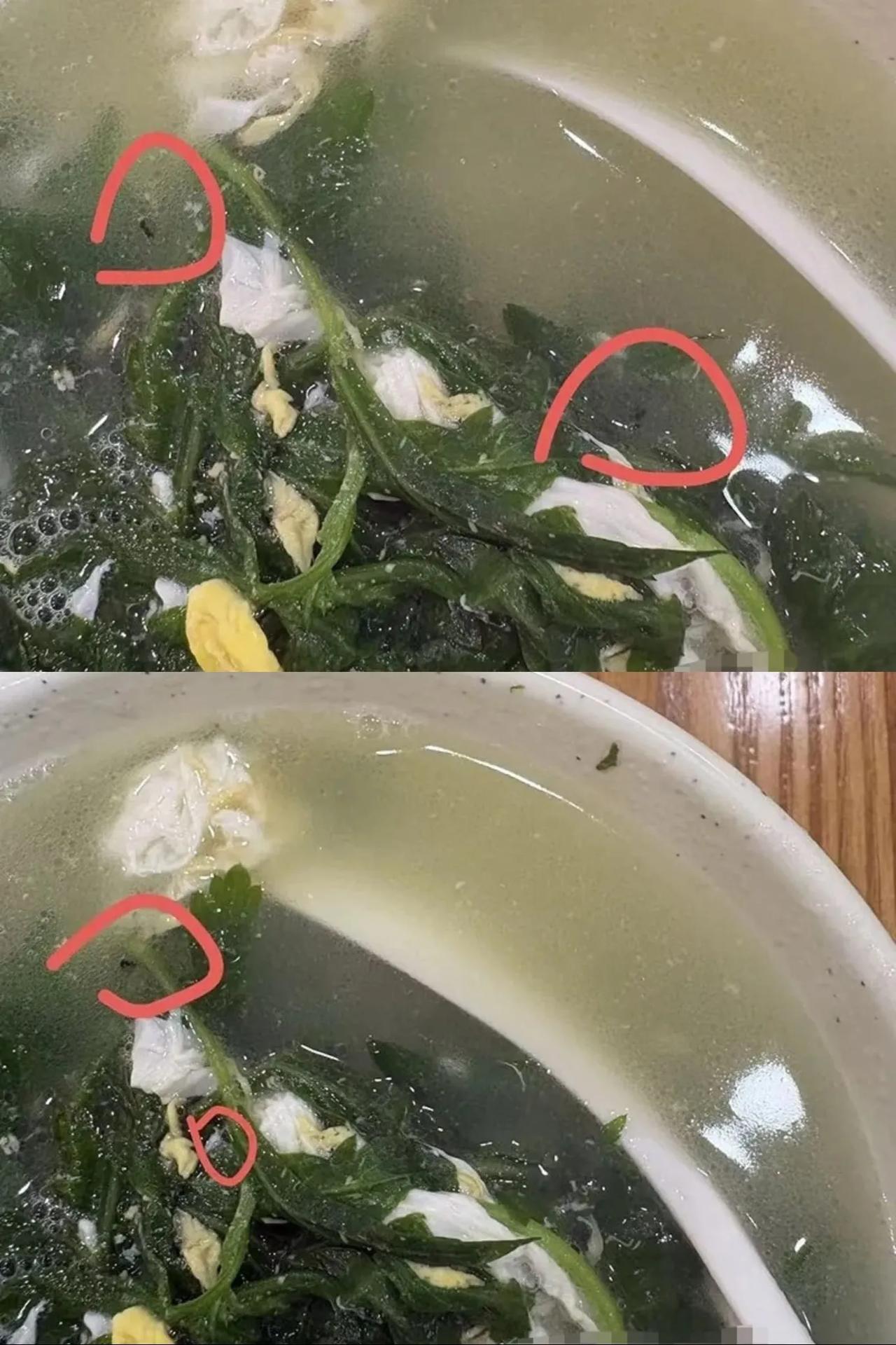 梅州一糖水店的餐品中发现虫子，结局令人意外

2025年12月初，梅州一市民在兴