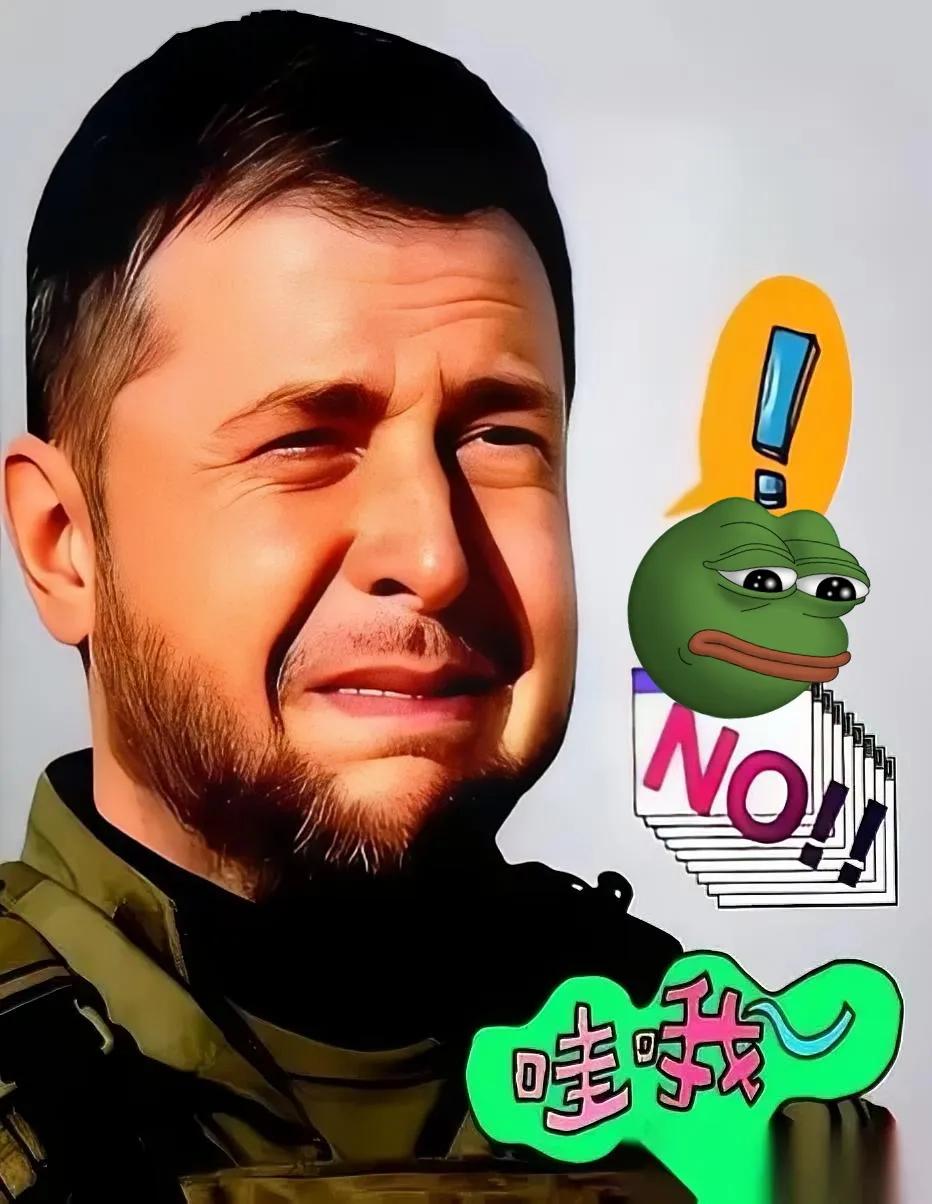 乌克兰总统泽连斯基，突然放了个大消息。
打了四年的仗，他说2026年上半年就有可