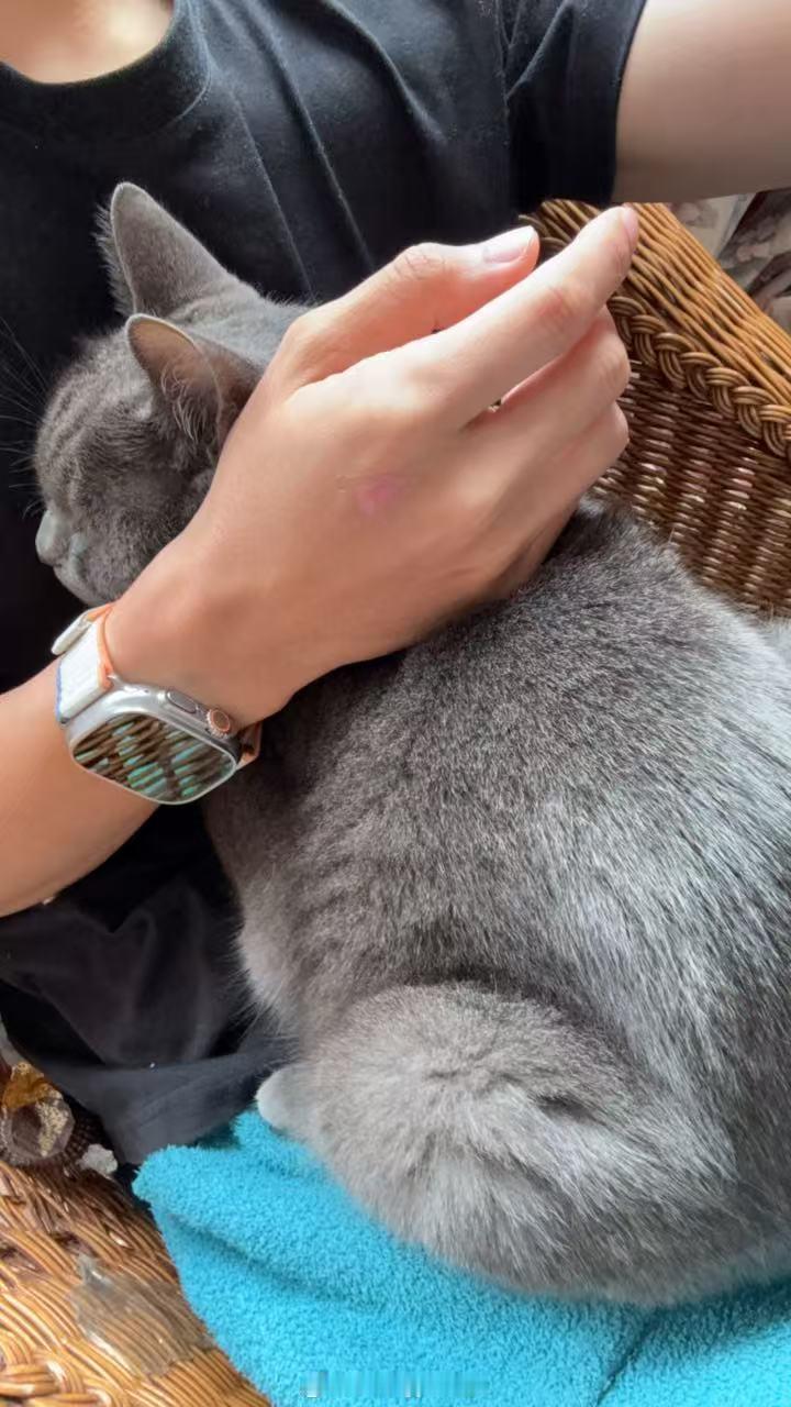🐱和🌙 ​​​