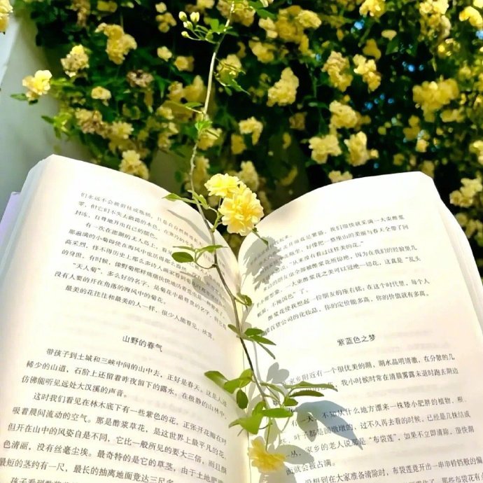 🦢⁾⁾ 𝗟𝖊𝑡 𝑔𝑜“遗憾是常有的事,释怀是人生的必修课。” 