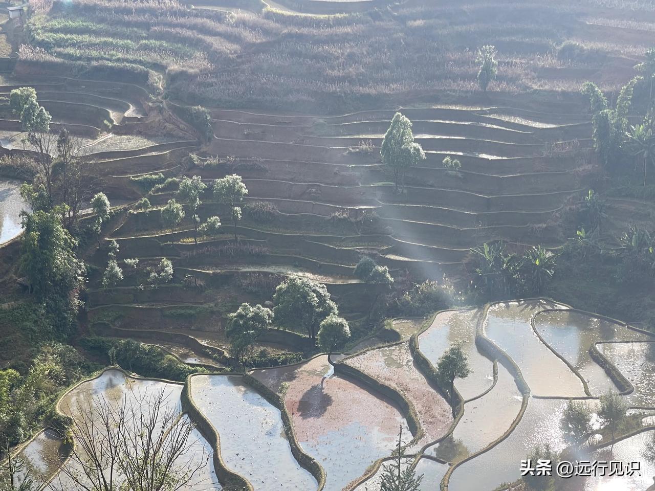 如何刺激自驾游的活力？降低燃油费价格或是拉动自驾旅游经济的主要因素之一自驾游旅行