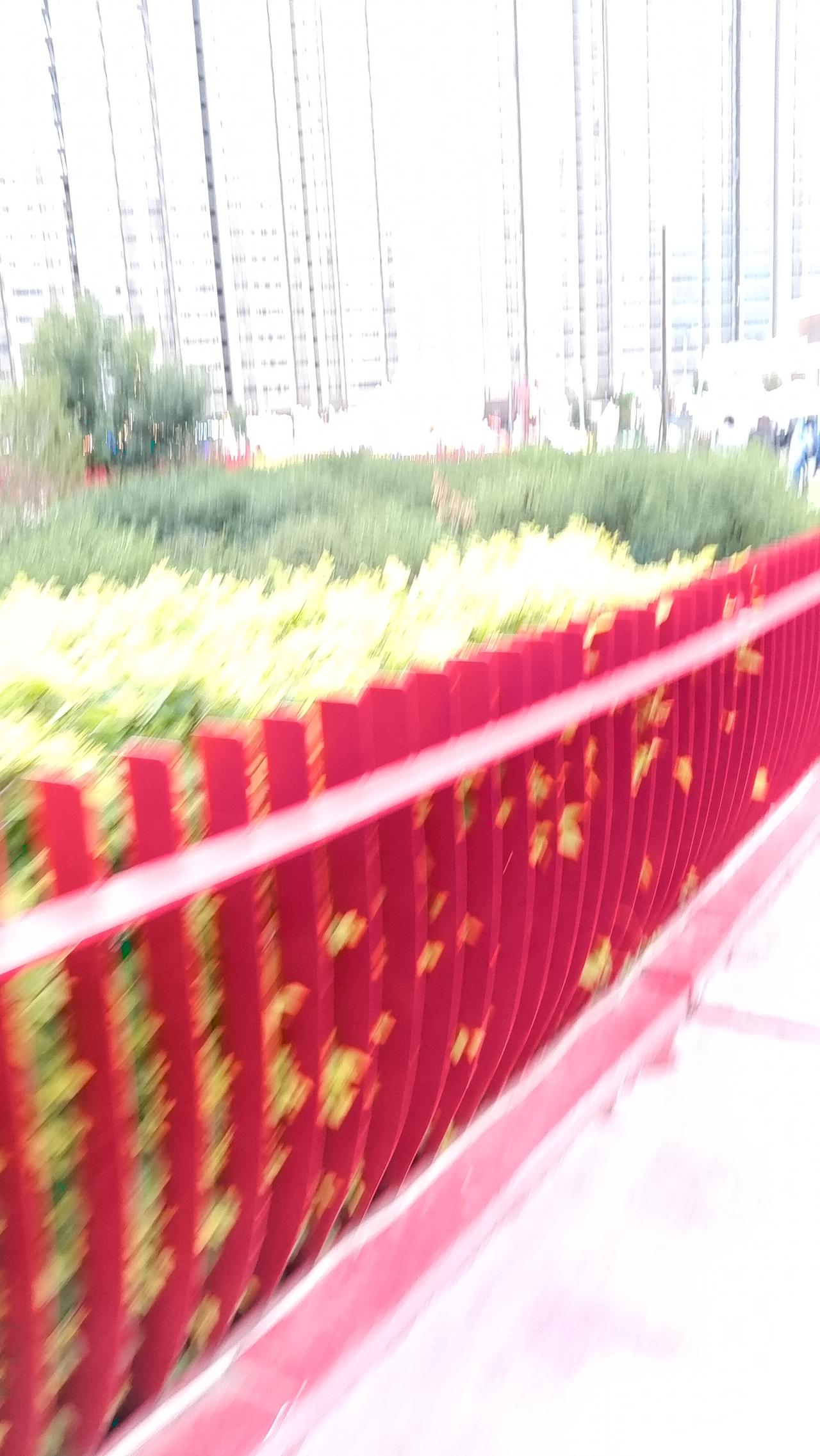 城市中绿意葱茏，红与绿相互交织，一片生机勃勃之景！🌿🌸于这夜晚的公园内，微风