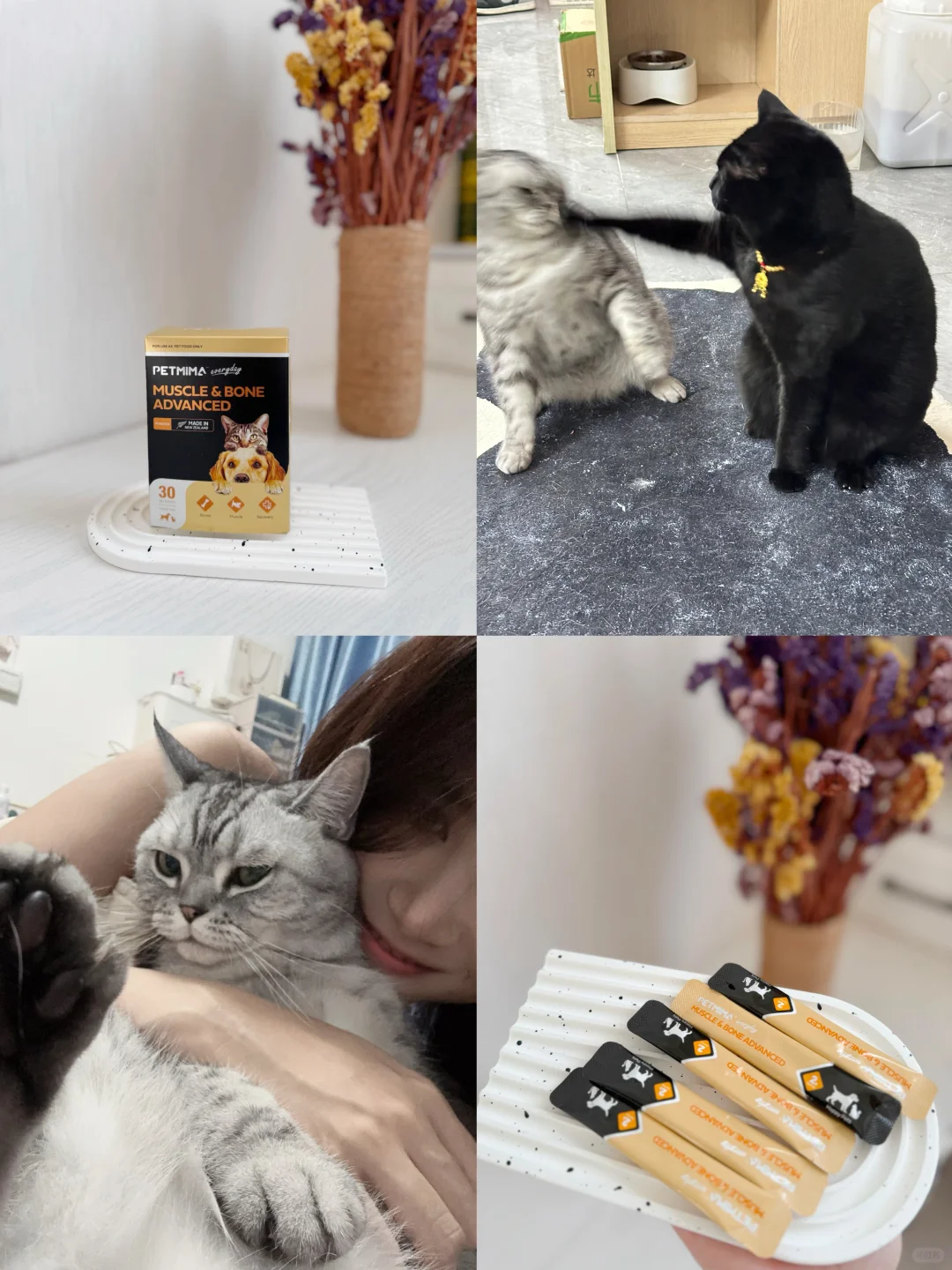 家里多只猫猫，护理到位很重要