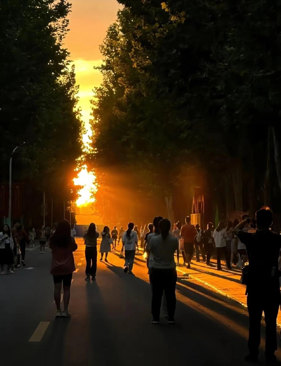 鲜活一生，向阳而行
 
1. 打开生活的天窗，阳光自会照进来
心向明亮，阴霾便无