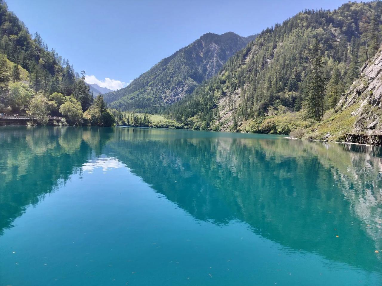 你觉得哪些东西最不该涨价加油