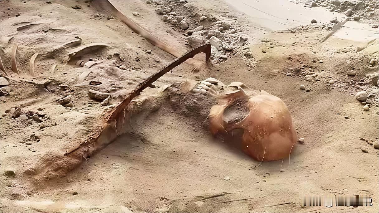 1068具遗骸，整整在土里埋了83年。就在前两天，河南舞钢挖出来的。如果不动土，