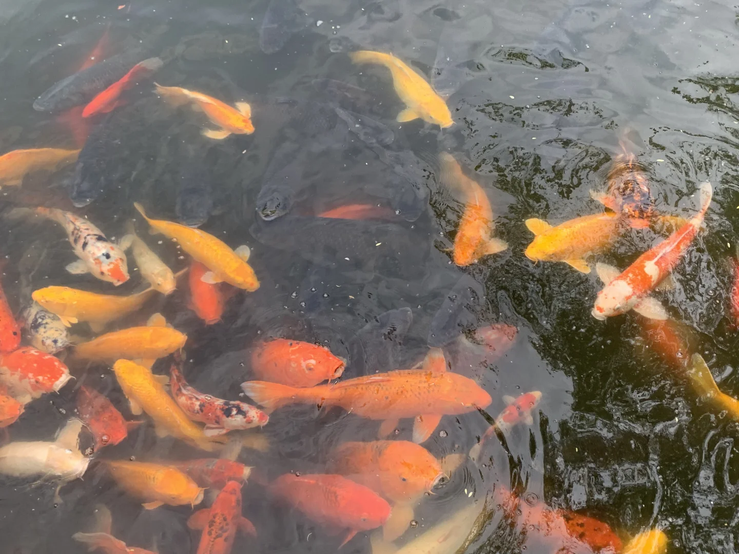 老板让你五一去找他签字怎么办